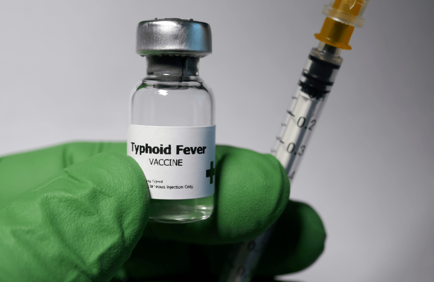 typhoid vaccine