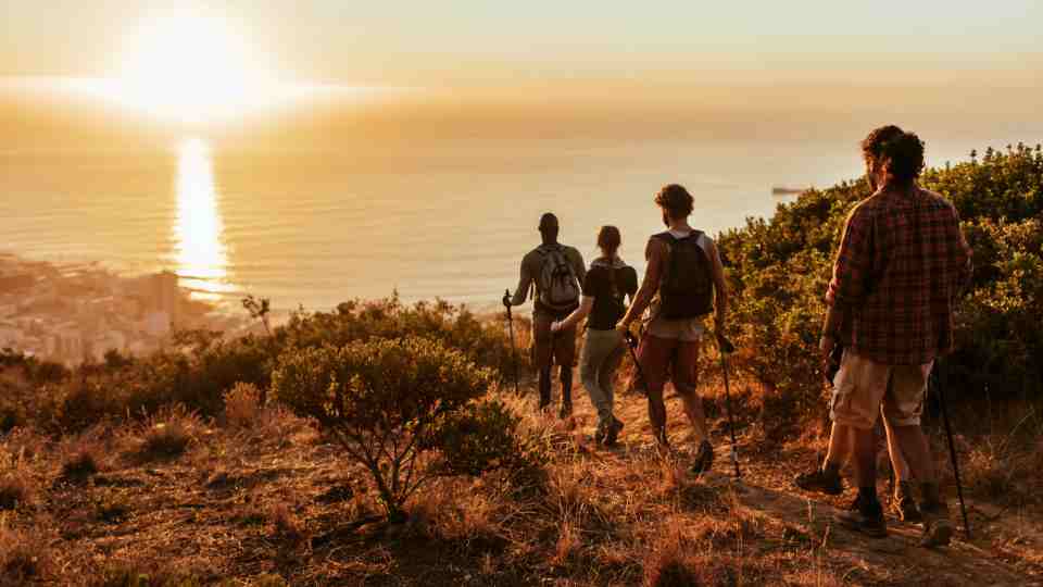 hiking tick landscape