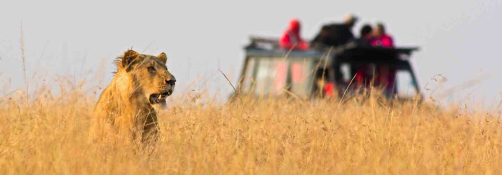 Ensure that you are fit for travel at North Manchester Travel Clinic